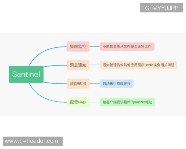 深入分析RNG边路渗透战术的核心策略与实战应用