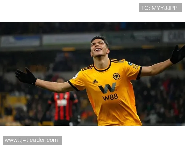 狼队与沃特福激战正酣谁能在英超赛场上笑到最后